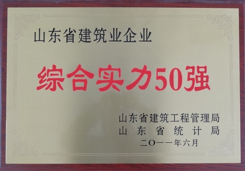 山东省建筑业企业综合实力五十强